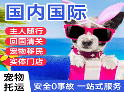 济宁大安机场货运国际宠物托运 【国